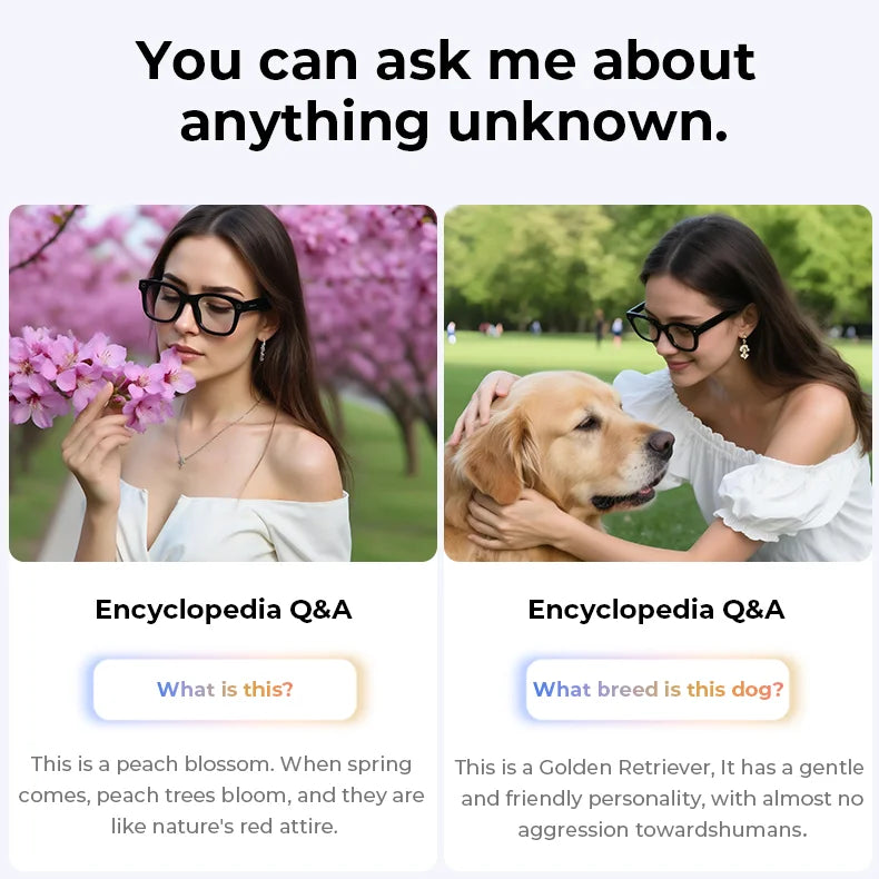 Multifunctional  Smart AI Camera Glasses with 8MP 140+ Languages Real-Time Translation Bluetooth Music 1080P Video Recording